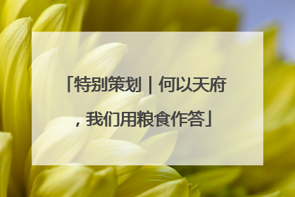 特别策划｜何以天府，我们用粮食作答