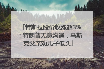 特斯拉股价收涨超3%：特朗普无意沟通，马斯克父亲劝儿子低头