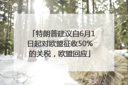 特朗普建议自6月1日起对欧盟征收50%的关税，欧盟回应