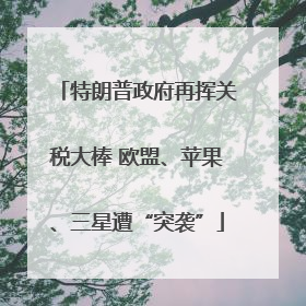 特朗普政府再挥关税大棒 欧盟、苹果、三星遭“突袭”