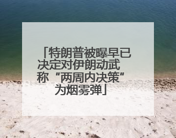 特朗普被曝早已决定对伊朗动武 称“两周内决策”为烟雾弹