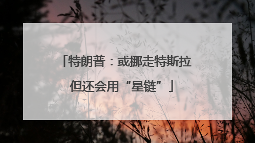 特朗普：或挪走特斯拉 但还会用“星链”