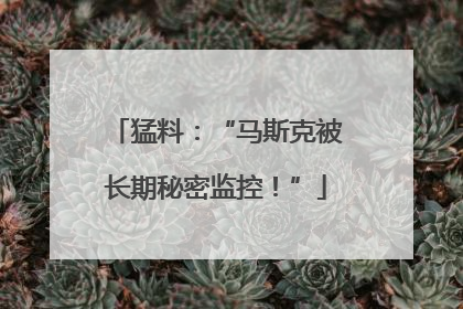 猛料：“马斯克被长期秘密监控！”