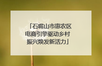 石嘴山市惠农区电商引擎驱动乡村振兴焕发新活力