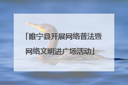 睢宁县开展网络普法暨网络文明进广场活动