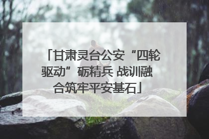 甘肃灵台公安“四轮驱动”砺精兵 战训融合筑牢平安基石