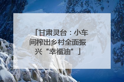 甘肃灵台：小车间榨出乡村全面振兴“幸福油”