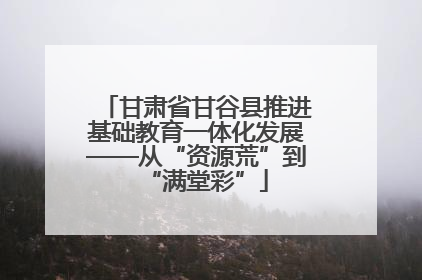 甘肃省甘谷县推进基础教育一体化发展——从“资源荒”到“满堂彩”