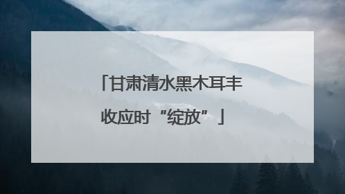 甘肃清水黑木耳丰收应时“绽放”