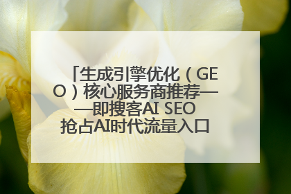 生成引擎优化（GEO）核心服务商推荐——即搜客AI SEO抢占AI时代流量入口（含 GEO报价）