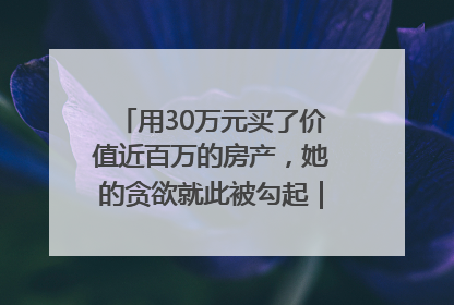 用30万元买了价值近百万的房产，她的贪欲就此被勾起｜今晚九点半