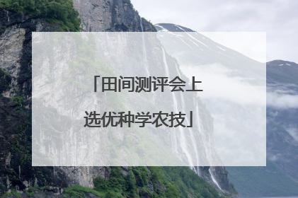 田间测评会上选优种学农技