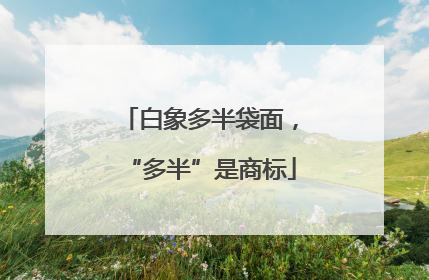 白象多半袋面，“多半”是商标