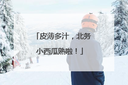 皮薄多汁，北务小西瓜熟啦！