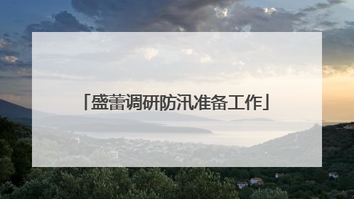 盛蕾调研防汛准备工作