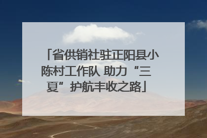 省供销社驻正阳县小陈村工作队 助力“三夏”护航丰收之路
