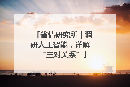 省情研究所｜调研人工智能，详解“三对关系”