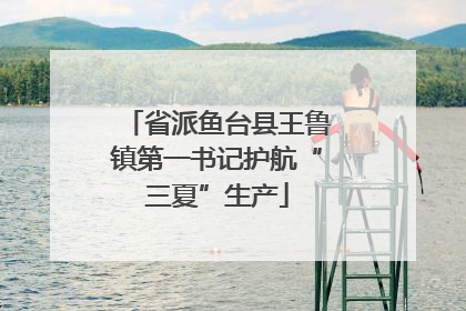省派鱼台县王鲁镇第一书记护航“三夏”生产