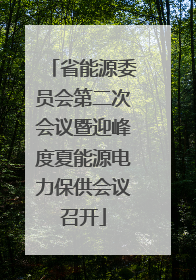 省能源委员会第二次会议暨迎峰度夏能源电力保供会议召开
