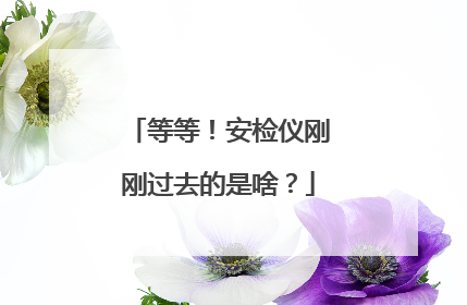 等等！安检仪刚刚过去的是啥？