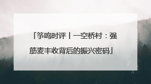 筝鸣时评丨一空桥村：强筋麦丰收背后的振兴密码