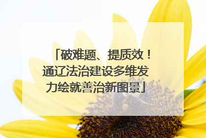 破难题、提质效！通辽法治建设多维发力绘就善治新图景