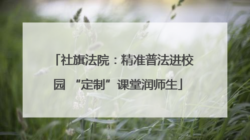 社旗法院：精准普法进校园 “定制”课堂润师生