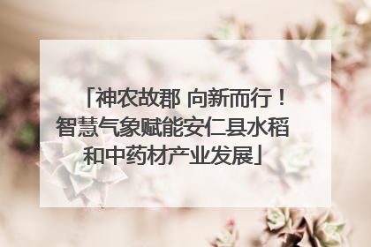 神农故郡 向新而行！智慧气象赋能安仁县水稻和中药材产业发展