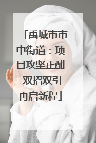 禹城市市中街道：项目攻坚正酣 双招双引再启新程