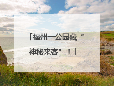 福州一公园藏“神秘来客”！
