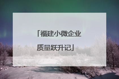 福建小微企业质量跃升记