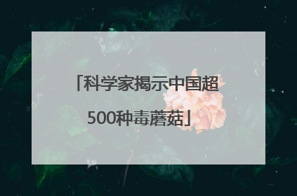 科学家揭示中国超500种毒蘑菇