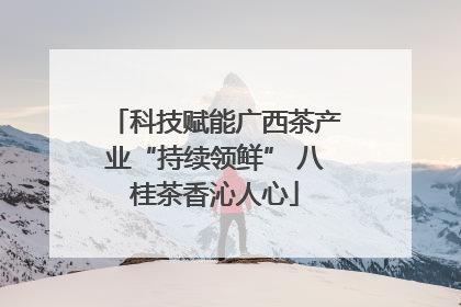 科技赋能广西茶产业“持续领鲜” 八桂茶香沁人心