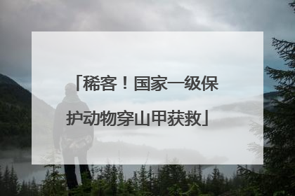 稀客！国家一级保护动物穿山甲获救