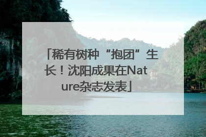 稀有树种“抱团”生长！沈阳成果在Nature杂志发表