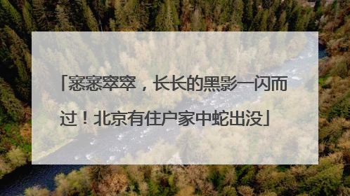 窸窸窣窣，长长的黑影一闪而过！北京有住户家中蛇出没