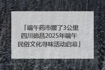 端午药市摆了3公里 四川德昌2025年端午民俗文化寻味活动启幕