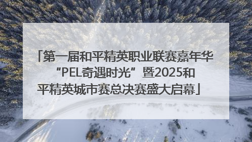 第一届和平精英职业联赛嘉年华“PEL奇遇时光”暨2025和平精英城市赛总决赛盛大启幕