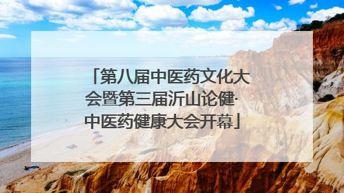 第八届中医药文化大会暨第三届沂山论健·中医药健康大会开幕