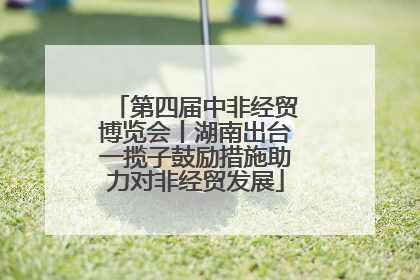 第四届中非经贸博览会丨湖南出台一揽子鼓励措施助力对非经贸发展