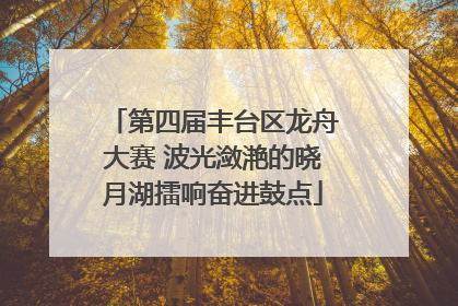 第四届丰台区龙舟大赛 波光潋滟的晓月湖擂响奋进鼓点