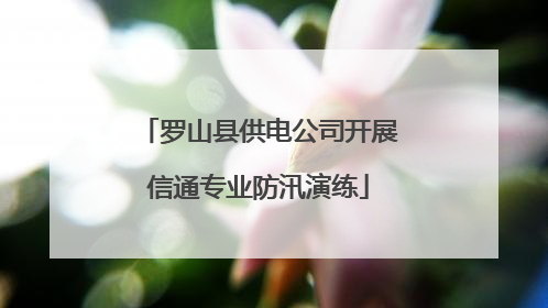 罗山县供电公司开展信通专业防汛演练