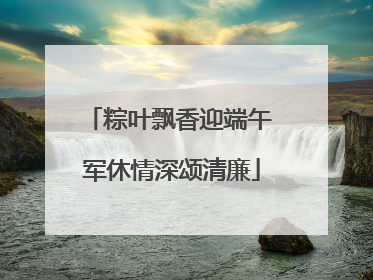 粽叶飘香迎端午 军休情深颂清廉