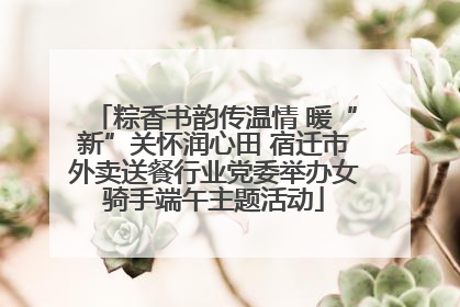 粽香书韵传温情 暖“新”关怀润心田 宿迁市外卖送餐行业党委举办女骑手端午主题活动