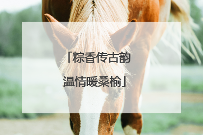粽香传古韵 温情暖桑榆