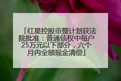 红星控股重整计划获法院批准：普通债权中每户25万元以下部分，六个月内全额现金清偿