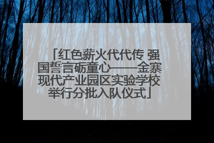 红色薪火代代传 强国誓言砺童心——金寨现代产业园区实验学校举行分批入队仪式