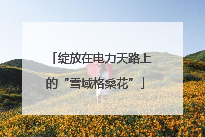 绽放在电力天路上的“雪域格桑花”