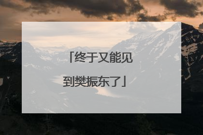 终于又能见到樊振东了