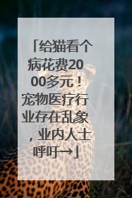 给猫看个病花费2000多元！宠物医疗行业存在乱象，业内人士呼吁→